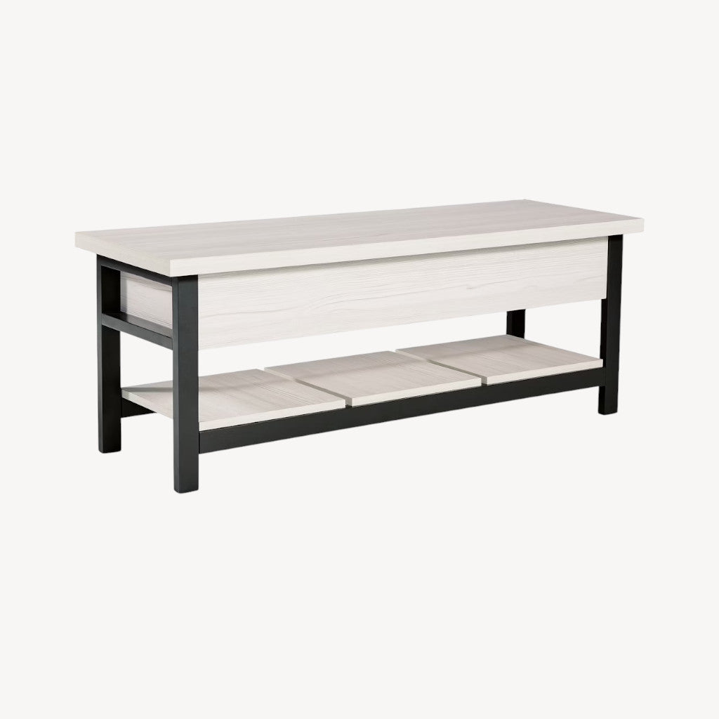 A3000312 Rhyson Storage Bench - White/ Black | Signature Design By Ashley