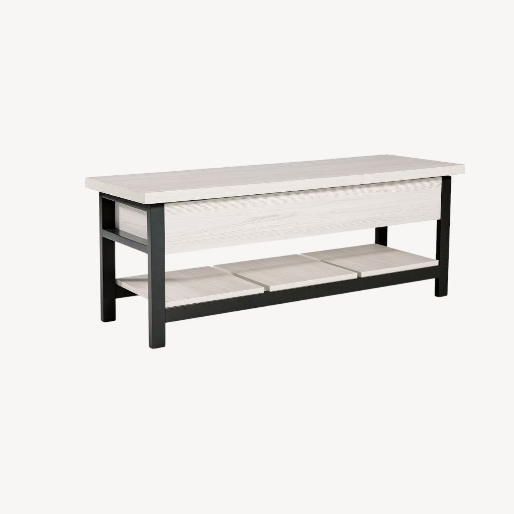 A3000312 Rhyson Storage Bench - White/ Black | Signature Design By Ashley