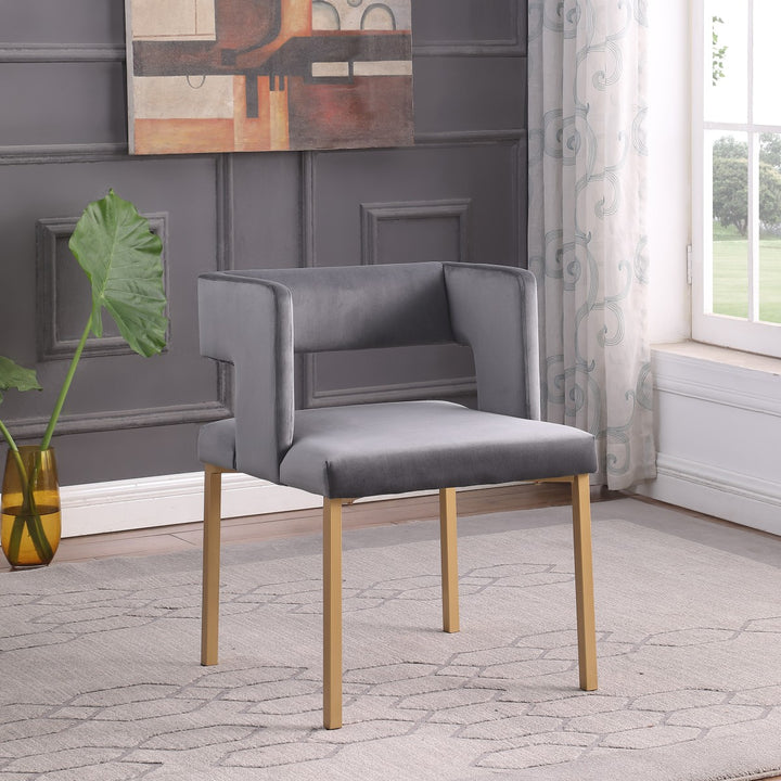 Elva Fabric Upholstered Stylish Dining Chair (Set of 2) - Grey/ Gold