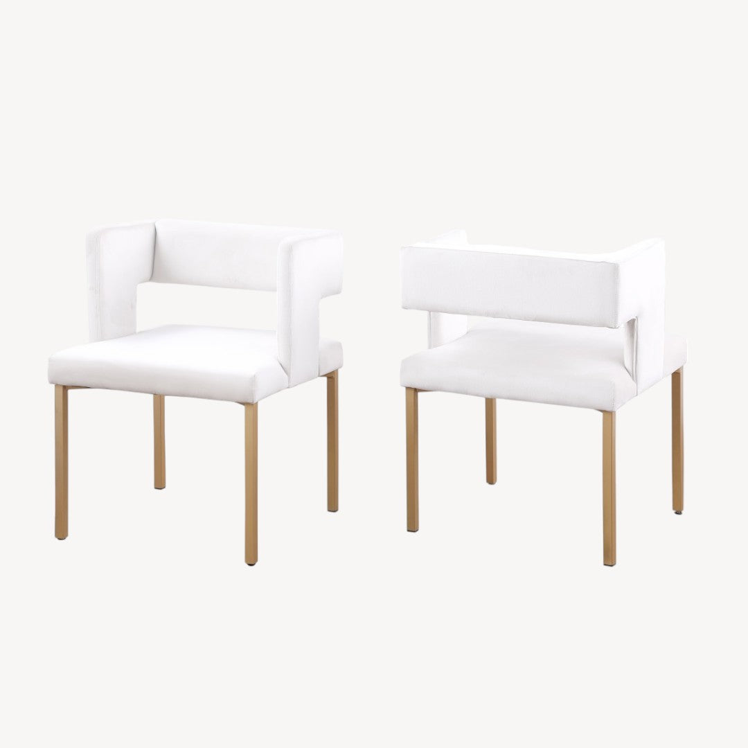 Elva Fabric Upholstered Stylish Dining Chair (Set of 2) - Beige/ Gold