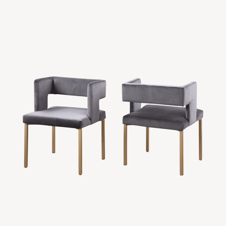 Elva Fabric Upholstered Stylish Dining Chair (Set of 2) - Grey/ Gold