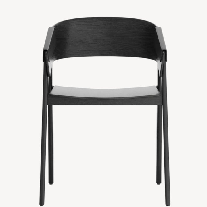 Mateo Black Dining Chairs (Set of 2) – Mid-Century Edge Meets Commercial Toughness
