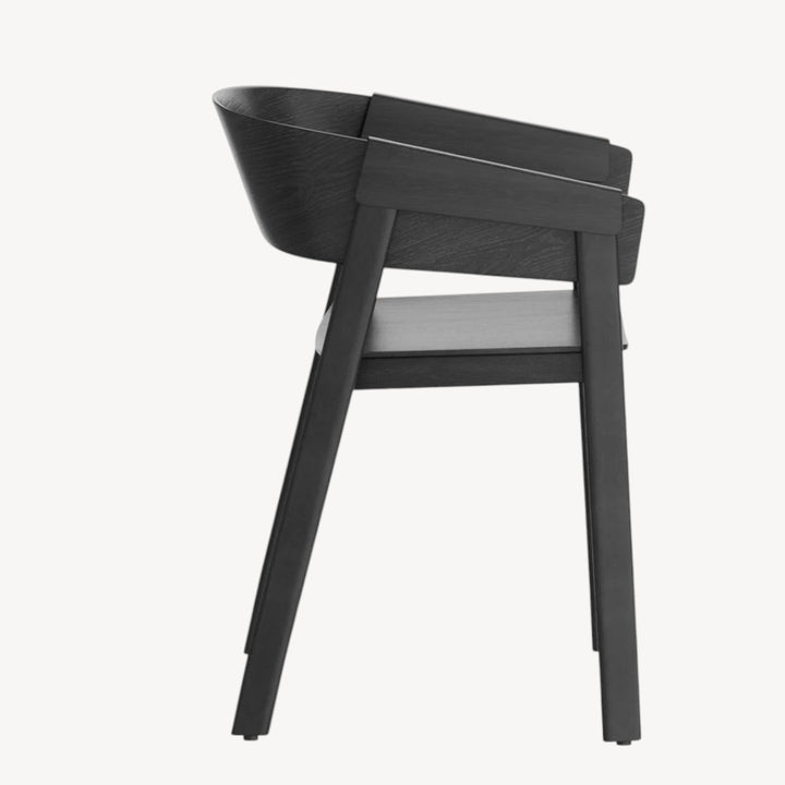 Mateo Black Dining Chairs (Set of 2) – Mid-Century Edge Meets Commercial Toughness