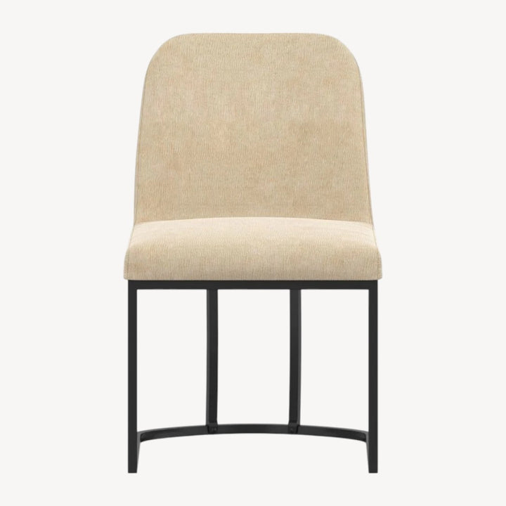 Dario Modern Dining Chairs: Plush Comfort Meets Stylish Design (Set of 2)