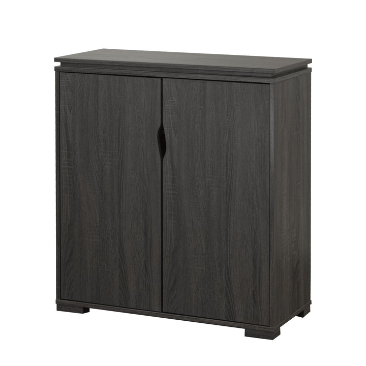 Luster Multi-Purpose Storage Cabinet In Black Finish